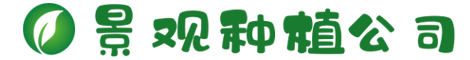www.808455.com
